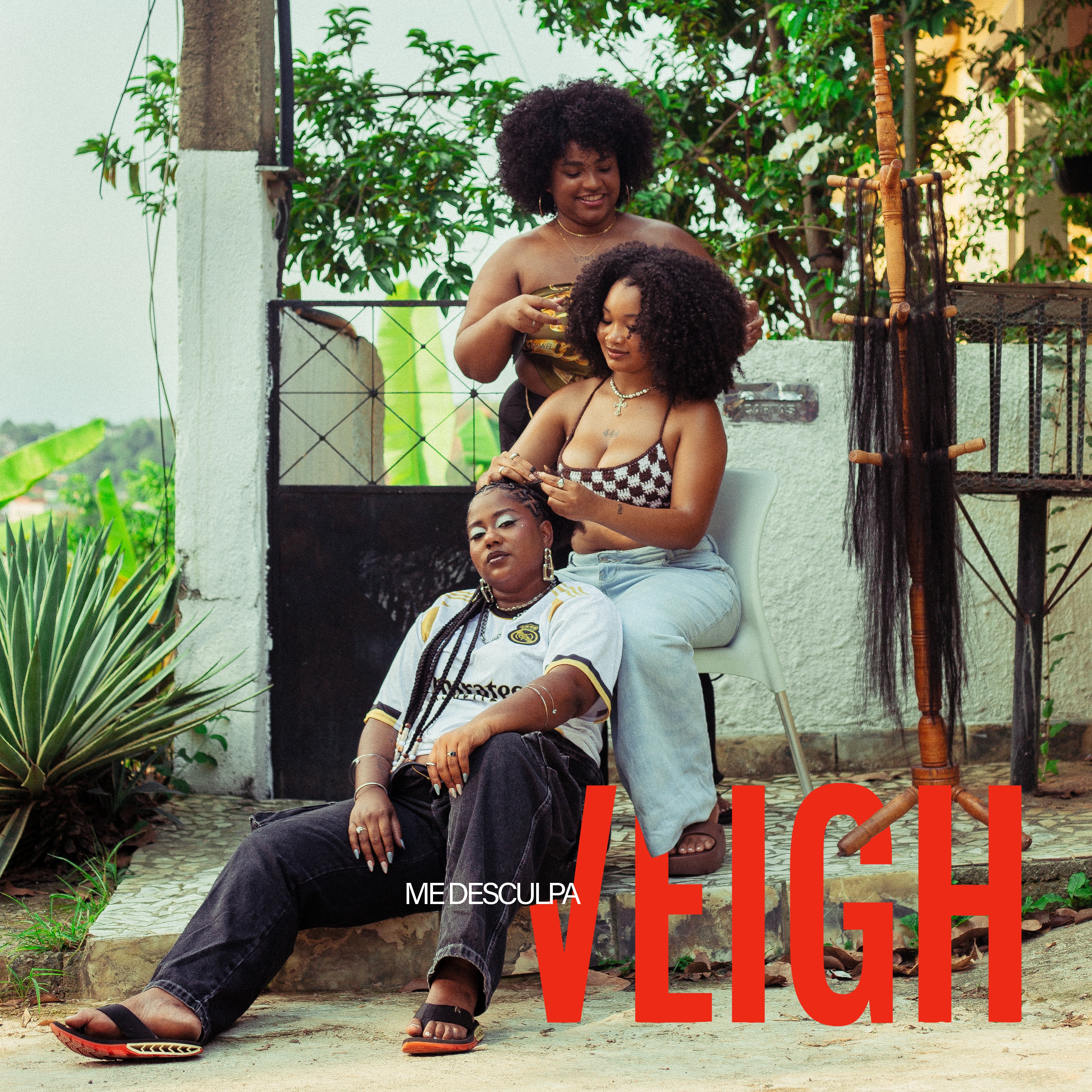 Me Desculpa Veigh - Single