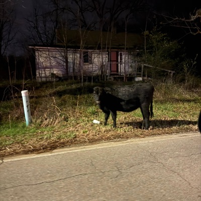 D.0.X. (feat. R!0t) - Single