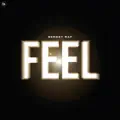 Feel