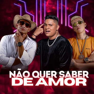 Não Quer Saber de Amor (feat. Zé Luccas & MC Don Everton) - Single
