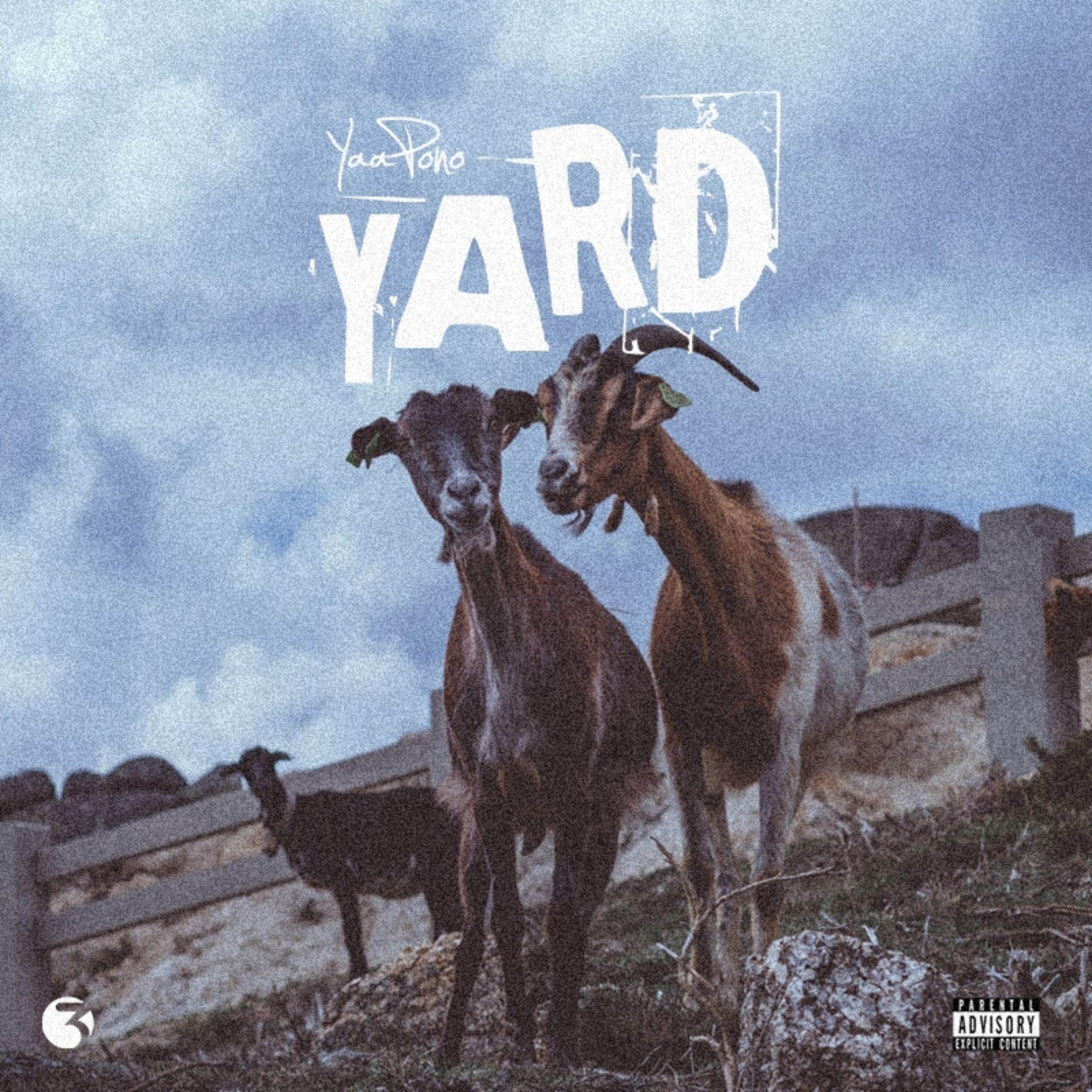 YARD - Single