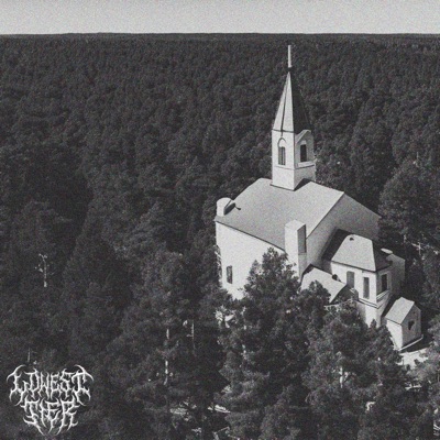 Grasping For Nothing - Single