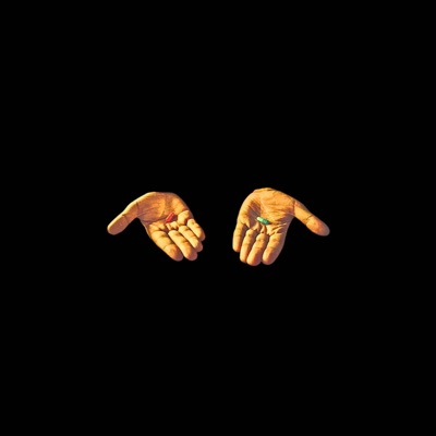FREE (Radio Edit) - Single