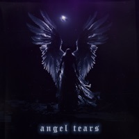 angel tears - Single - SH3TLVIZ & Nightwane