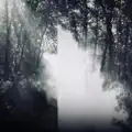Dew