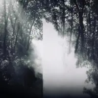 Dew — Ginevra Benettini