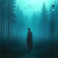 the place we call home - Single - Nown