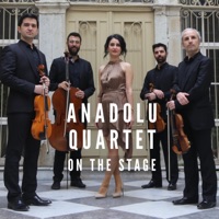 On The Stage (Live) - Anadolu Quartet