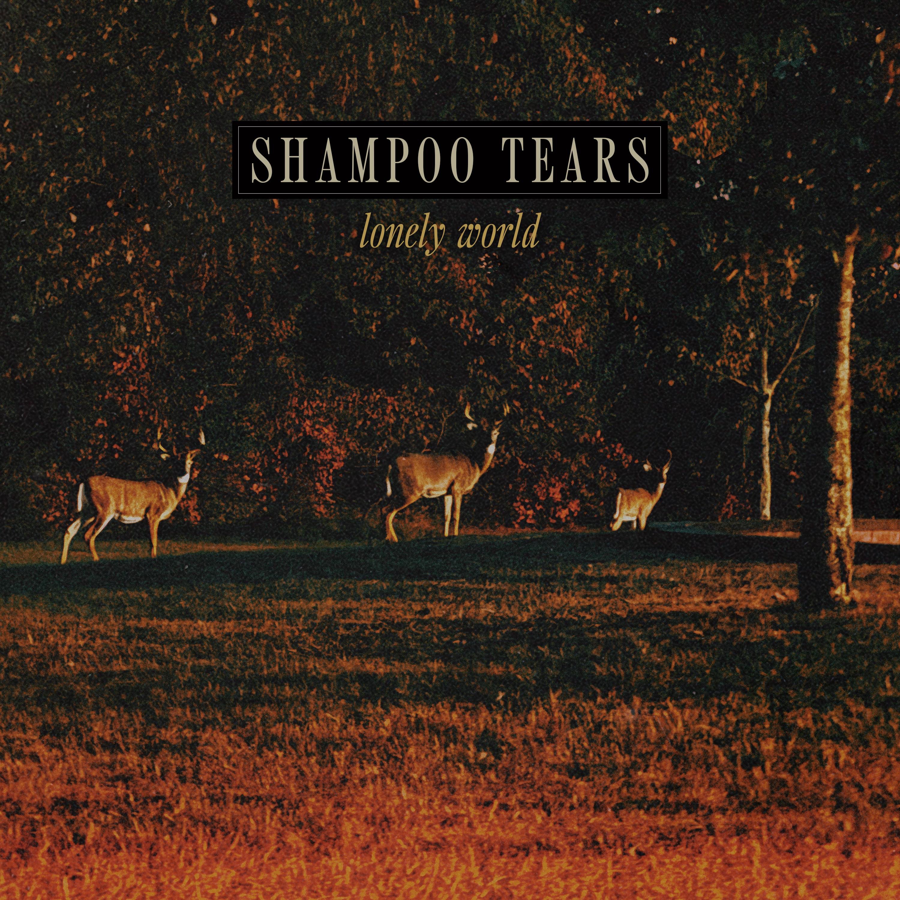 Shampoo Tears - Open My Eyes