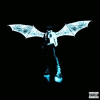 Hyper Trap - Single - AK Grey