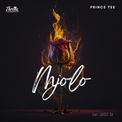 Mjolo (feat. Juizee SA) - Single