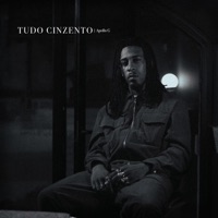 Tudo cinzento - Single - Apollo G