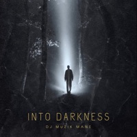 Into Darkness - Single - DJ Muzik Mane