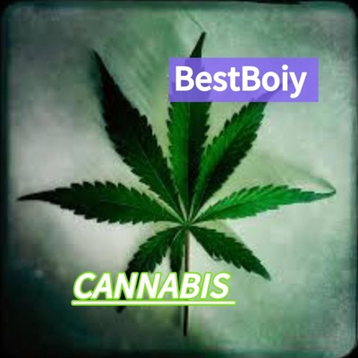 Pluto canabis - Single