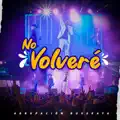 NO VOLVERÉ