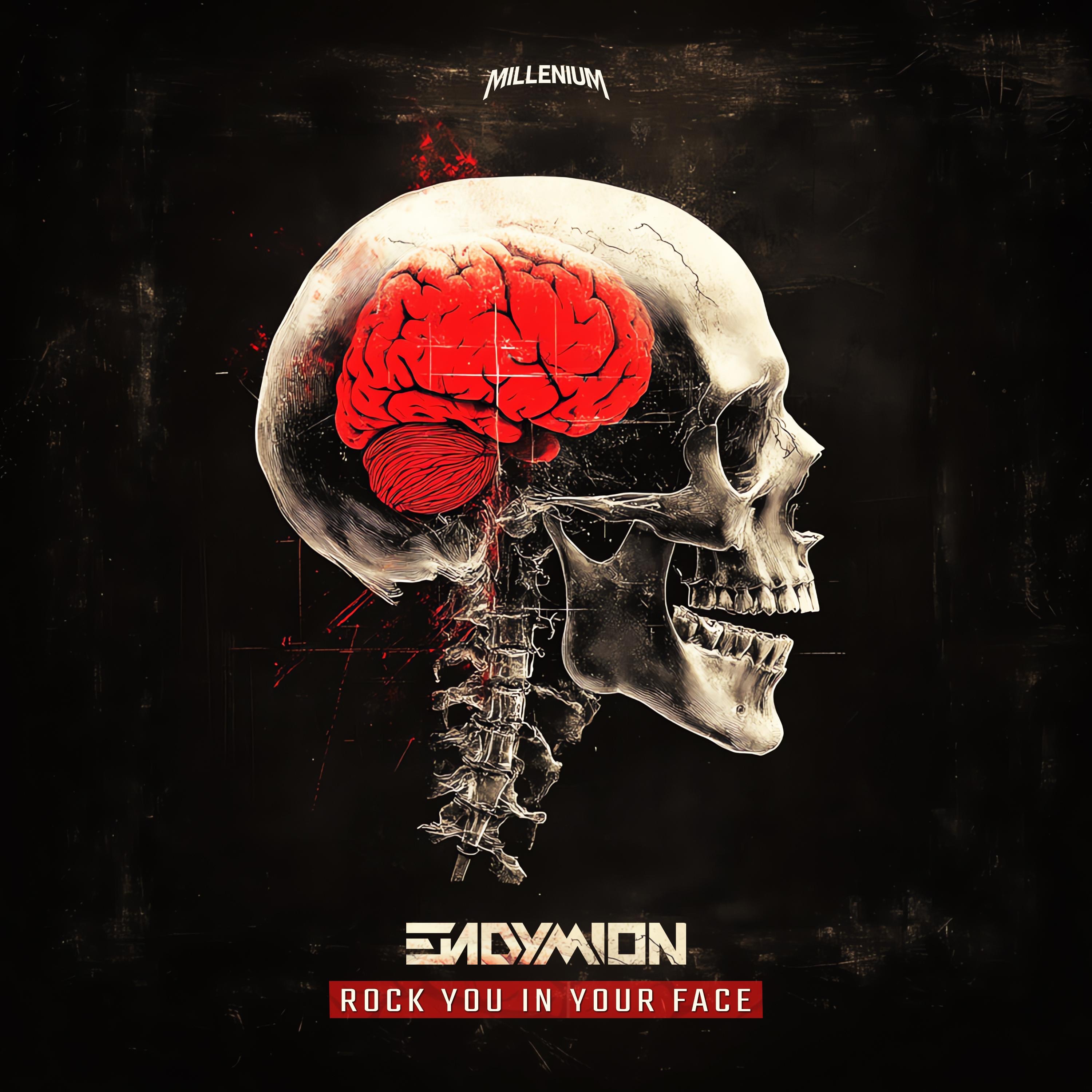 Rock You In Your Face - Single