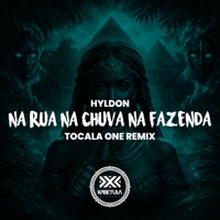 Na Rua Na Chuva Na Fazenda (Remix) - Single - Hyldon