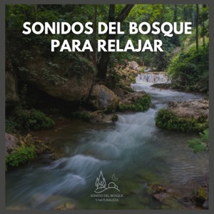 Sonidos del Bosque para Relajar