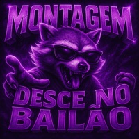 Montagem Desce no Bailao - Single - srkazu
