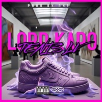 Tenis LV - Single - LORD KAPO