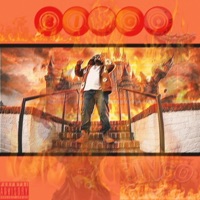 Bingo - Single - Fly Reek