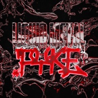 LIQUID METAL EP - EP - PYKE