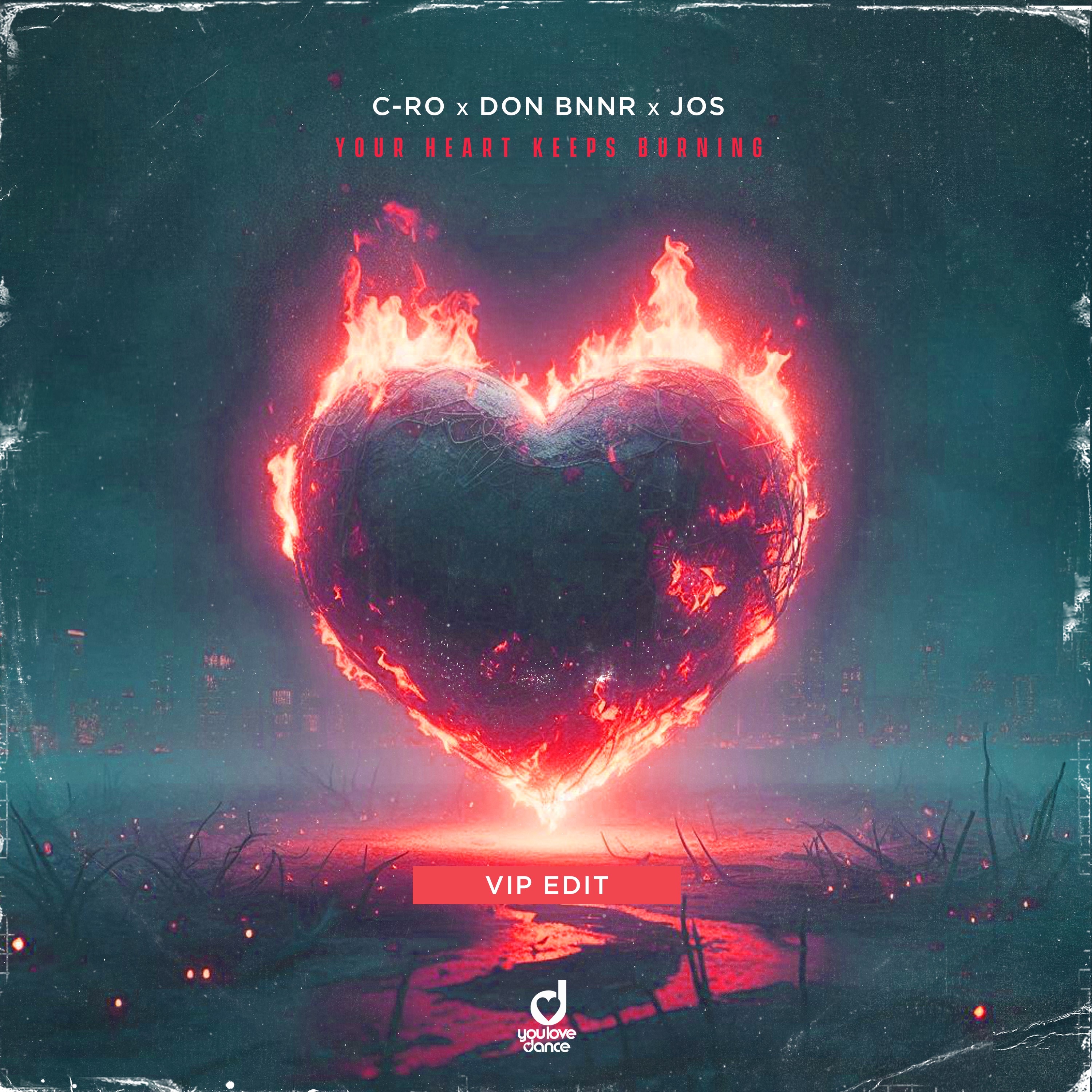 Your Heart Keeps Burning (VIP Edit) - Single