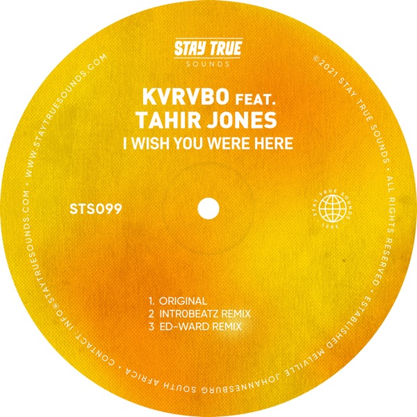 I Wish You Were Here (feat. Tahir Jones) - Single
