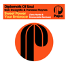 Sweet Power Your Embrace (feat. Vanessa Haynes & Emmaculate) [Terry Hunter & Emmaculate Remixes] - EP - Diplomats of Soul, Incognito & Terry Hunter