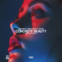 CONCRETE BEAUTY (feat. Mikey Mcfly & a.s.t.r.o) - Single - 2MuchBTP