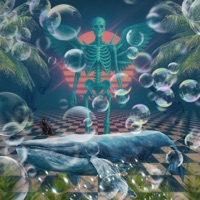 Femme Fatale - Single - GammaFlow, WinDose & Casio Blanc カシオ