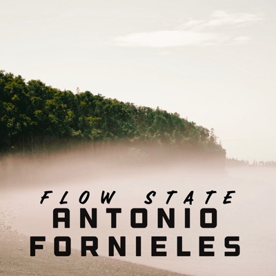 Flow State - Single