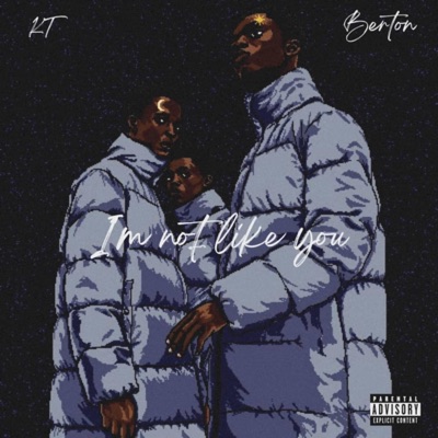 Not Like You (feat. KT) - Single