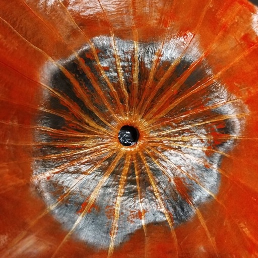 Album artwork
