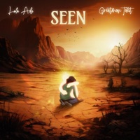 Seen (feat. Greatman Takit) - Single - Lola Ade
