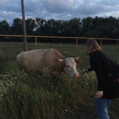 в моей голове - Single