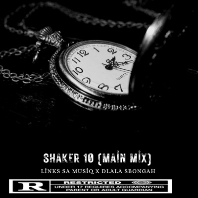 Shaker 10 Main Mix (feat. Dlala Sbongah) - Single