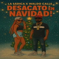 Desacato en Navidad - Single - La Sadica & Waldo Calle
