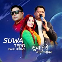 Suwa Tero Balo Joban - Single - Hark Bibas Khanal, Ramesh Malla & Uma Devi Khanal