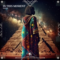 In This Moment - Single - Salkin & Cafe De Anatolia