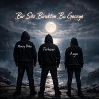 Bir Söz Bıraktım Bu Geceye (feat. Zehra & Ferhizar) - Single - Money Baba