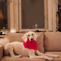 Громче - Single - idst