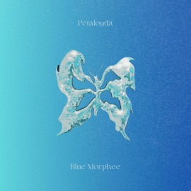 Petalouda Blue Morphee