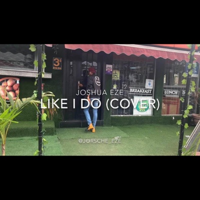 Like i do (cover) - Single