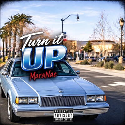 Turn it Up - Single