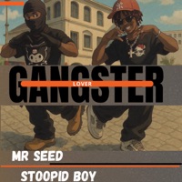 Gangster Lover - Single - Mr Seed & Stoopid Boy