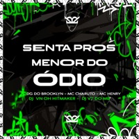 Senta Pros Menor do Ódio (feat. DJ VT DO MB) - Single - DG DO BROOKLYN, MC CHARUTO, Mc Henry & DJ VN OH HITMAKER
