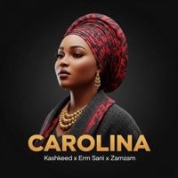 Carolina (feat. Kashkeed, Erm sani & Zamzam) - Single - The Menz