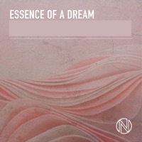 Essence Of A Dream - Richard Salter