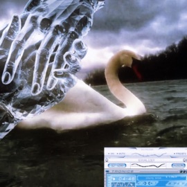 Splot naszych palców winski